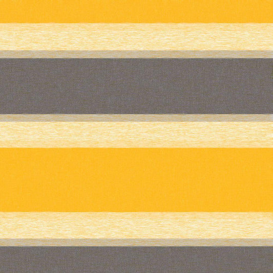 Image Only