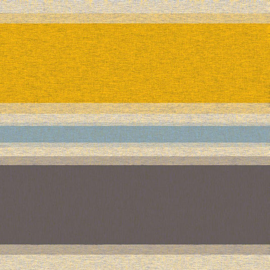 Image Only