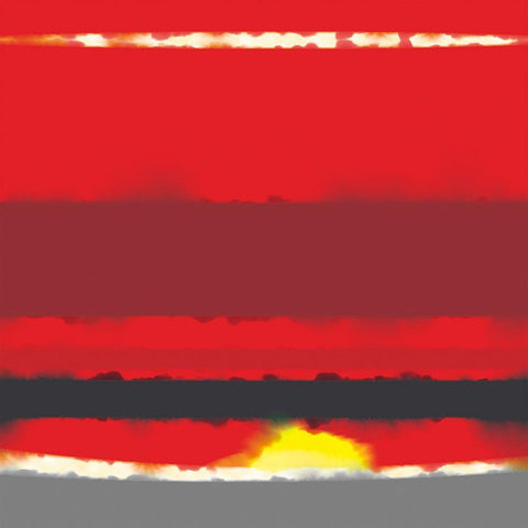 Sunset Bloom White Modern Wood Framed Art Print with Double Matting by Tenoever, William