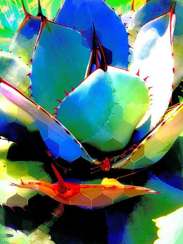 HexiFlora 1 Black Ornate Wood Framed Art Print with Double Matting by Tenoever, William