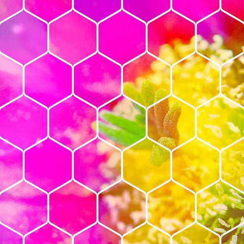 HexiFlora 3 Black Modern Wood Framed Art Print with Double Matting by Tenoever, William