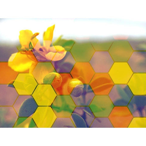 HexiFlora 4 Black Modern Wood Framed Art Print by Tenoever, William