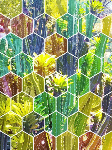 HexiFlora 5 White Modern Wood Framed Art Print with Double Matting by Tenoever, William