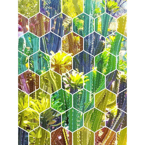 HexiFlora 5 Black Modern Wood Framed Art Print by Tenoever, William