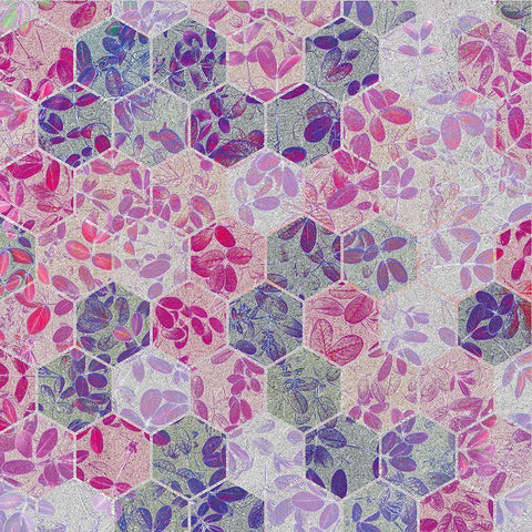 HexiFlora: Imprint 1a Gold Ornate Wood Framed Art Print with Double Matting by Tenoever, William