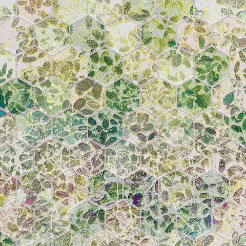 HexiFlora: Imprint 2a Black Modern Wood Framed Art Print by Tenoever, William