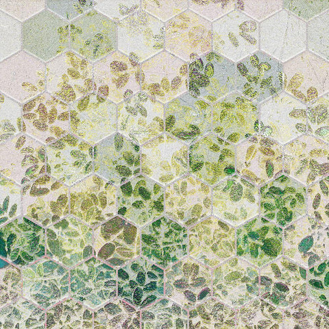 HexiFlora: Imprint 2b Black Modern Wood Framed Art Print with Double Matting by Tenoever, William