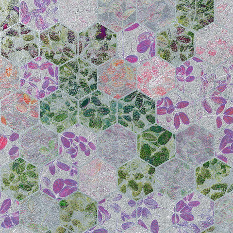 HexiFlora: Imprint 4a Gold Ornate Wood Framed Art Print with Double Matting by Tenoever, William