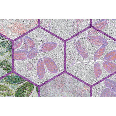 HexiFlora: Imprint 6 Black Modern Wood Framed Art Print by Tenoever, William