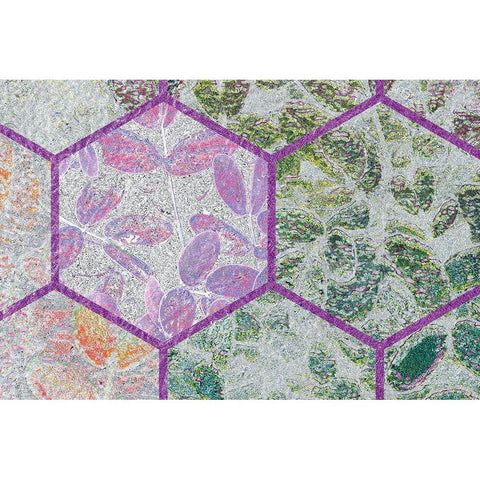 HexiFlora: Imprint 7 Gold Ornate Wood Framed Art Print with Double Matting by Tenoever, William