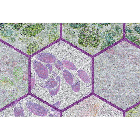 HexiFlora: Imprint 8 Black Modern Wood Framed Art Print by Tenoever, William