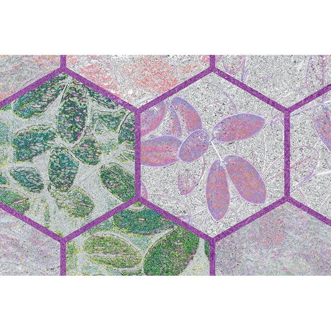 HexiFlora: Imprint 9 Black Modern Wood Framed Art Print by Tenoever, William