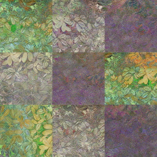 Image Only