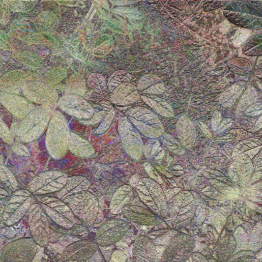 Image Only