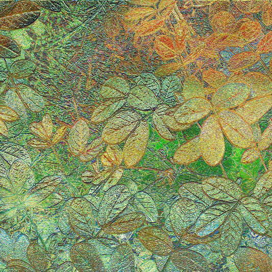 Image Only