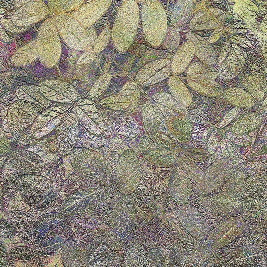 Image Only