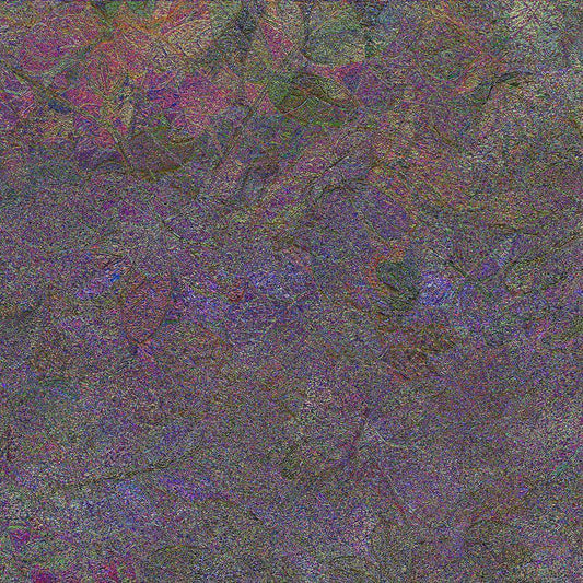 Image Only