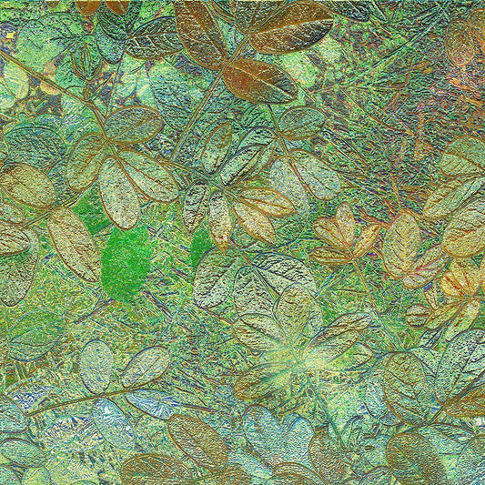 Image Only