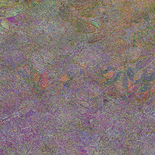 Image Only