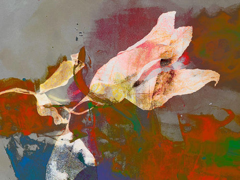 Of The Earth a Black Ornate Wood Framed Art Print with Double Matting by Tenoever, William