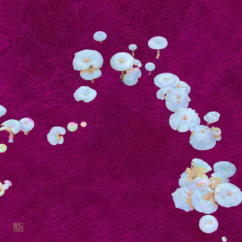 White Mushrooms Ver1 White Modern Wood Framed Art Print by Tenoever, William