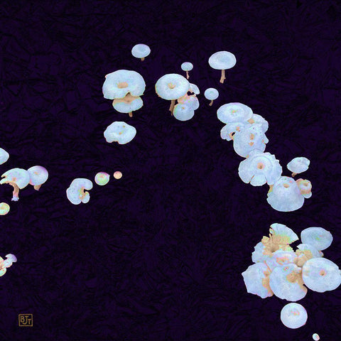 White Mushrooms Ver2 White Modern Wood Framed Art Print by Tenoever, William