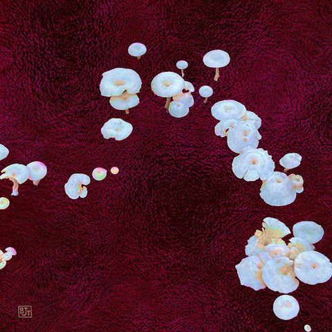 White Mushrooms Ver4 Black Modern Wood Framed Art Print by Tenoever, William