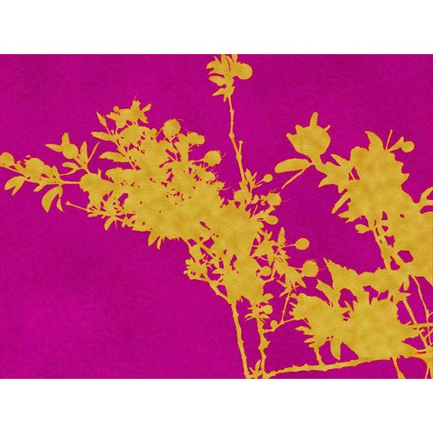 Creosote Gold Silhouette White Modern Wood Framed Art Print by Tenoever, William