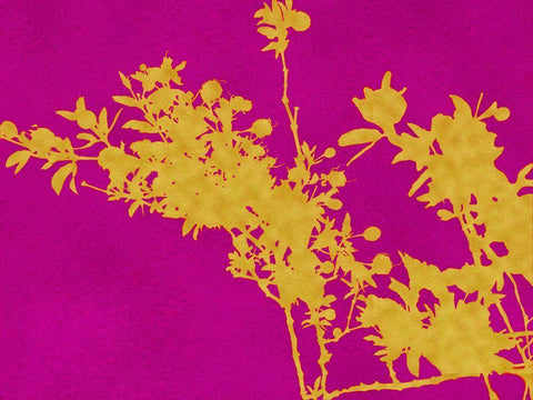 Creosote Gold Silhouette White Modern Wood Framed Art Print with Double Matting by Tenoever, William