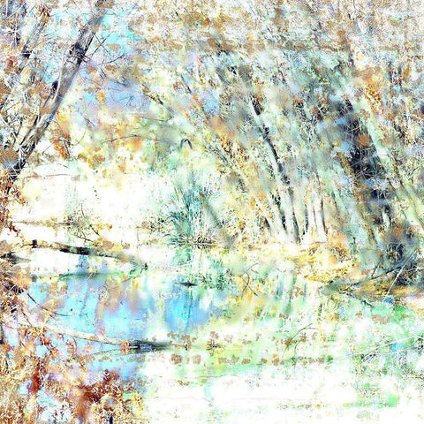 Green Heron in Flight White Modern Wood Framed Art Print by Tenoever, William