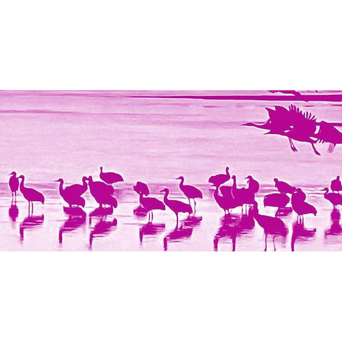 Sand Hill Cranes in Willcox 1c Black Modern Wood Framed Art Print by Tenoever, William