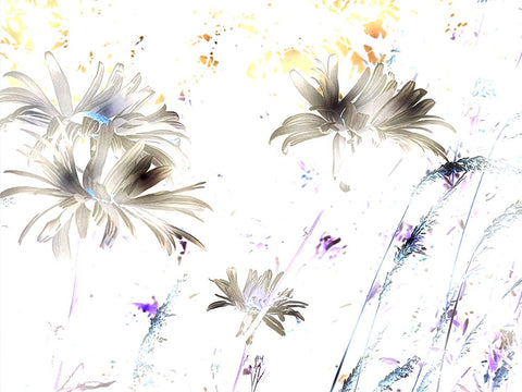 Flora Impressions 2 Black Modern Wood Framed Art Print by Tenoever, William