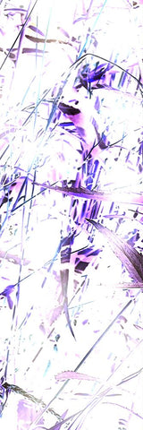 Flora Impressions 3 Black Ornate Wood Framed Art Print with Double Matting by Tenoever, William