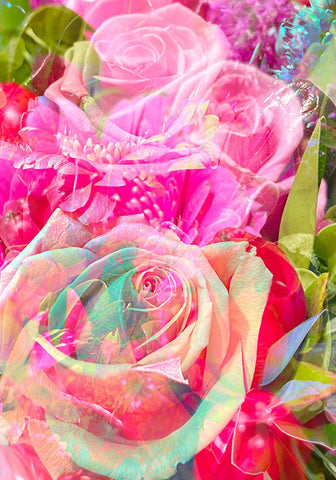 Shifting Light on Flowers Black Modern Wood Framed Art Print by Tenoever, William