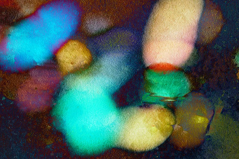 A Collection of Reflected Light Black Ornate Wood Framed Art Print with Double Matting by Tenoever, William