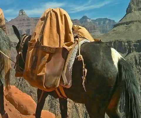 Grand Canyon 1: Mule Train Black Ornate Wood Framed Art Print with Double Matting by Popcorn