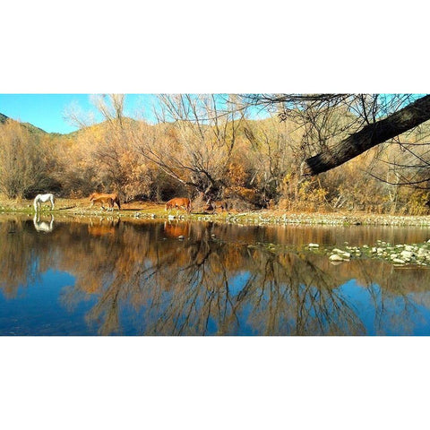 Wild Horses III Black Modern Wood Framed Art Print by Popcorn