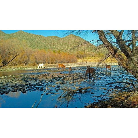 Wild Horses IV White Modern Wood Framed Art Print by Popcorn