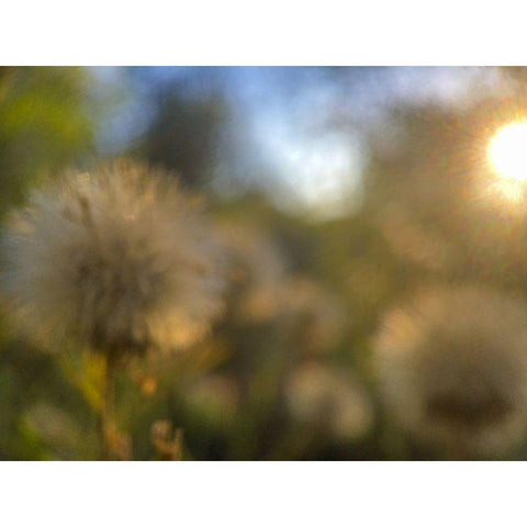 Golden Hour II White Modern Wood Framed Art Print by Popcorn