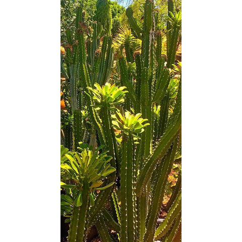 Nursery Black Modern Wood Framed Art Print with Double Matting by Tenoever, William