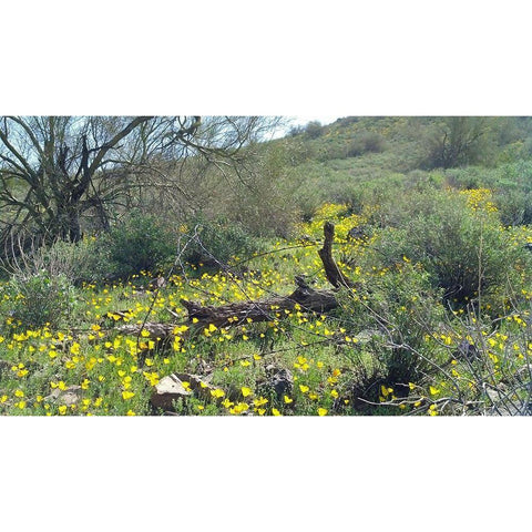 Desert Scape 4 White Modern Wood Framed Art Print by Popcorn