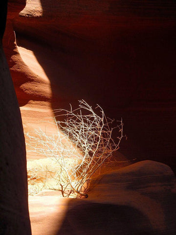 Antelope Canyon V White Modern Wood Framed Art Print with Double Matting by Popcorn