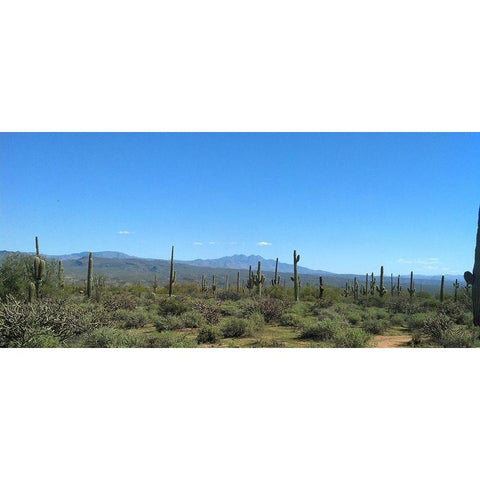 Four Peaks I: Black Top Mesa White Modern Wood Framed Art Print by Popcorn