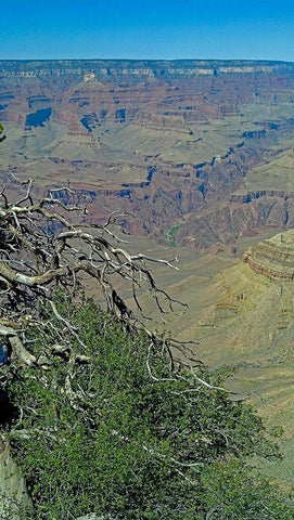 Grand Canyon 4 Black Ornate Wood Framed Art Print with Double Matting by Popcorn