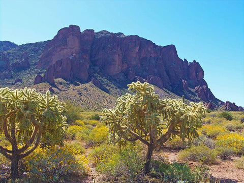 Superstition Mountain III White Modern Wood Framed Art Print with Double Matting by Popcorn