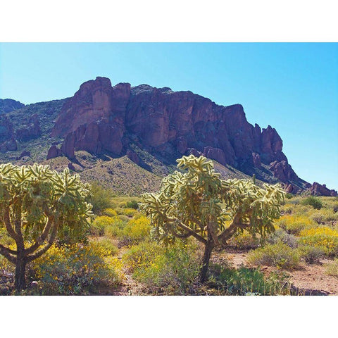 Superstition Mountain III Black Modern Wood Framed Art Print with Double Matting by Popcorn