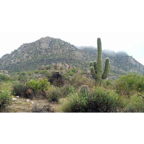 Granite Mountain Black Modern Wood Framed Art Print with Double Matting by Popcorn
