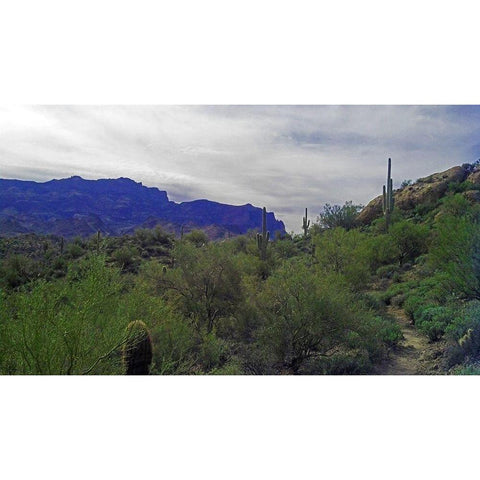 Superstition Mountain I White Modern Wood Framed Art Print by Popcorn