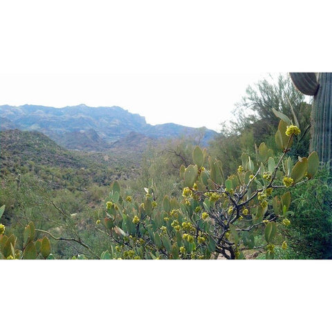 Superstition Mountain II Gold Ornate Wood Framed Art Print with Double Matting by Popcorn