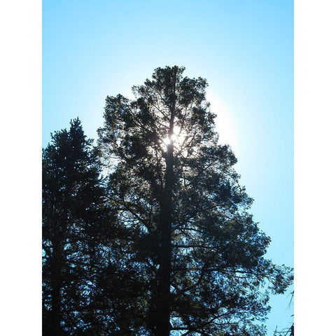 Tree 1 White Modern Wood Framed Art Print by Popcorn